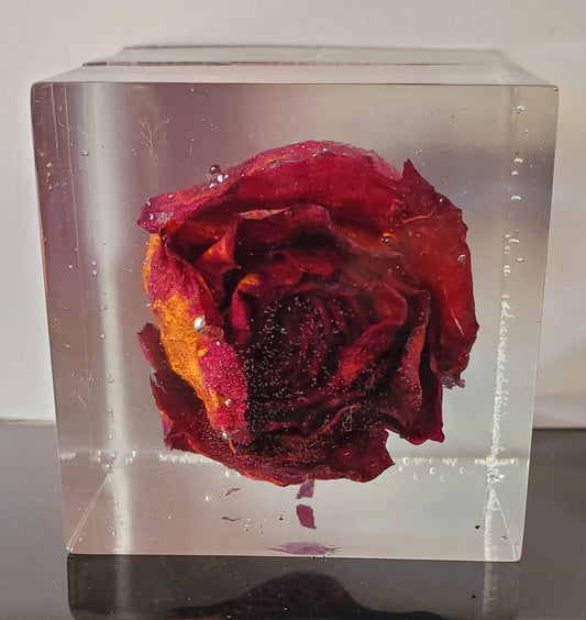 Handcrafted 2x2 clear cubed red rose